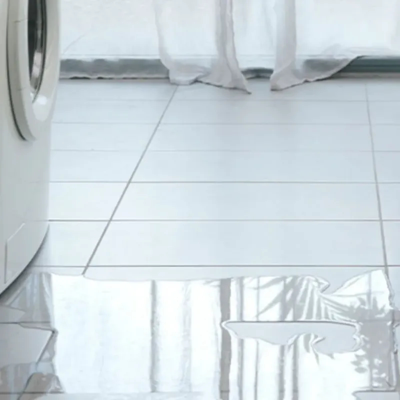 Appliance Leak Cleanup in Rio Hondo, TX